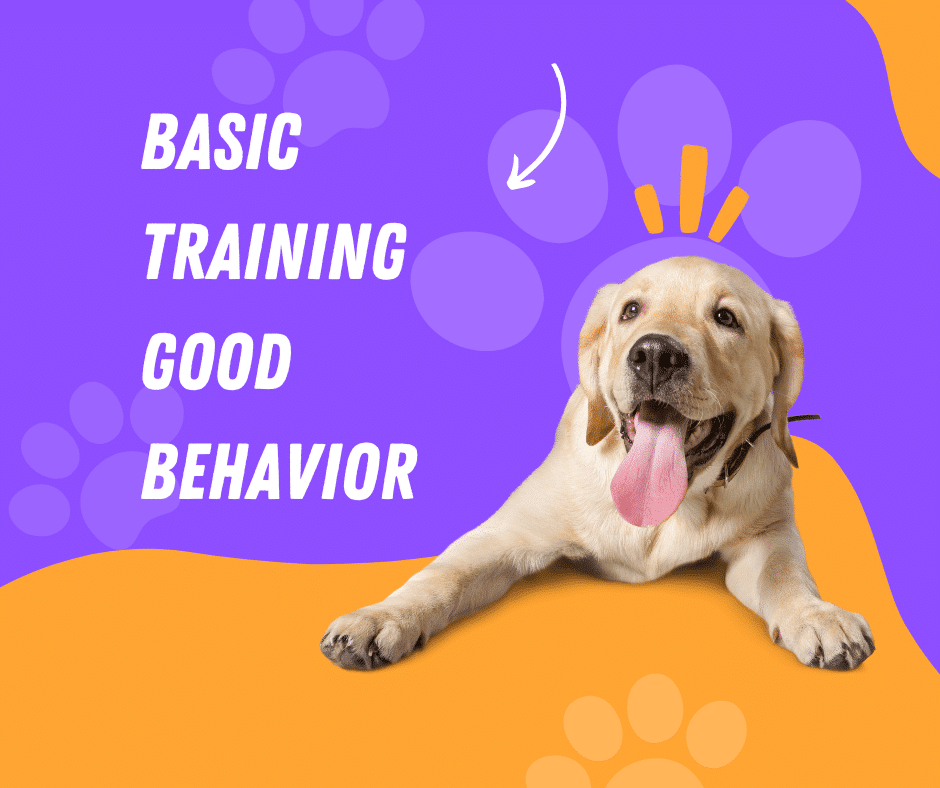 Basic Training Good Behavior