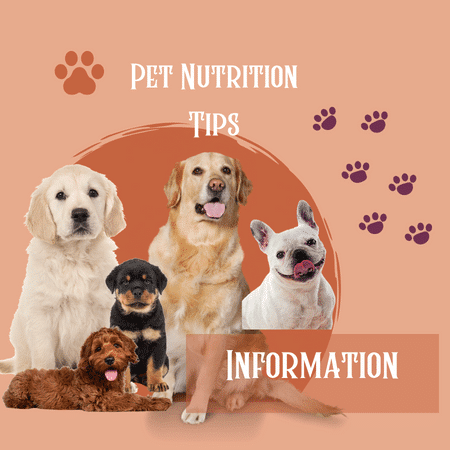 Pet Nutrition Tips
