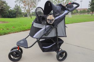 Revolutionary Pet Stroller - Galaxy Pugs